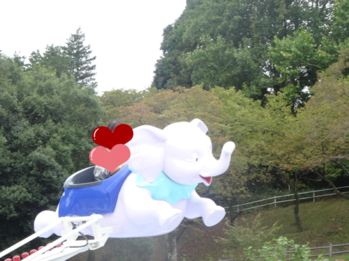 ダンボ