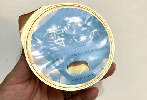 雪バスク パッケージ